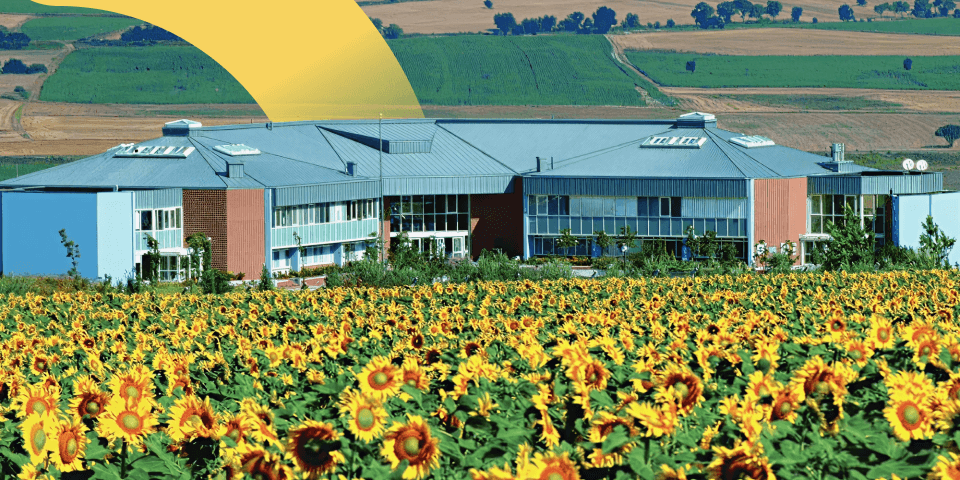 伊斯坦布尔国际社会学校 - ManageBac